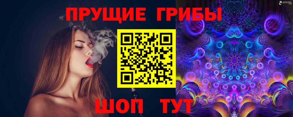 Галлюциногенные грибы Cubensis  Псилоцибиновые грибы мицелий  Вход с VPN  Дмитров 